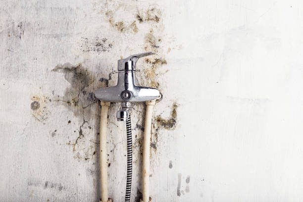 Professional Mold Removal in Lake Murray Of Richland, SC