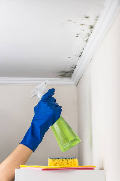 Best Toxic Mold Removal  in Lake Murray Of Richland, SC